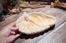 Load image into Gallery viewer, 45 Cornucopia Trinket Dish
