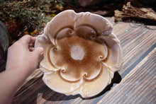 Load image into Gallery viewer, 51 Decorative Swirl Plate
