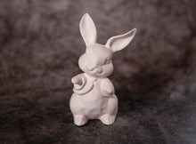 Load image into Gallery viewer, Bunny wearing a shirt - Bisque

