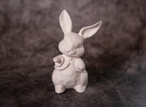 Bunny wearing a shirt - Bisque