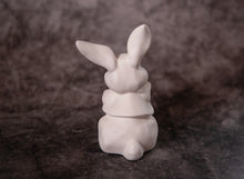 Load image into Gallery viewer, Bunny wearing a shirt - Bisque
