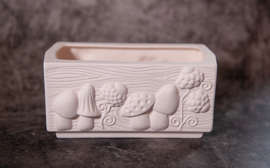 Mushroom box- Bisque